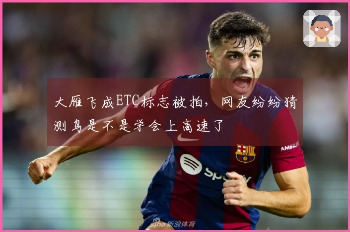 大雁飞成ETC标志被拍，网友纷纷猜测鸟是不是学会上高速了