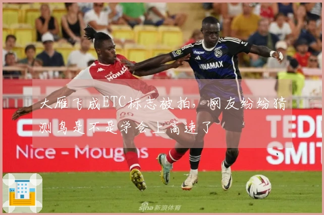 大雁飞成ETC标志被拍，网友纷纷猜测鸟是不是学会上高速了